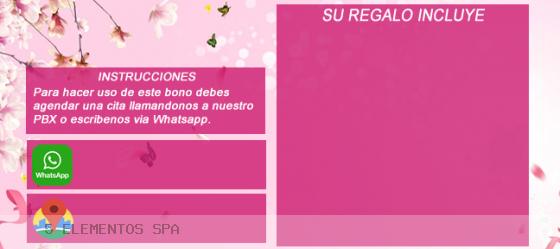 Dia de las madres - reverso