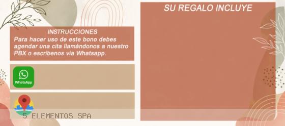 Dia de las madres eco - reverso